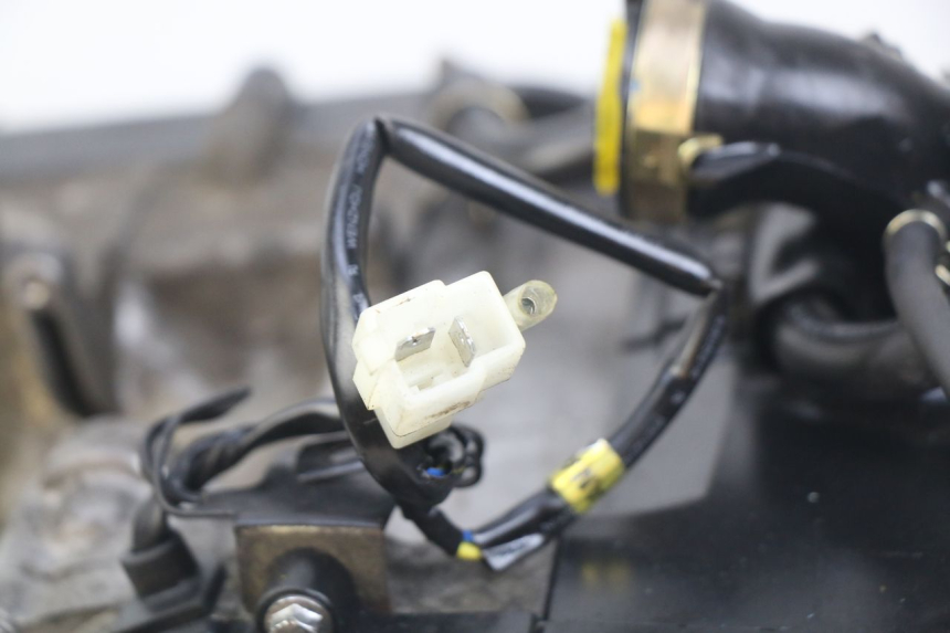 photo de MOTOR PEUGEOT VIVACITY NEW 4T 50 (2008 - 2017)