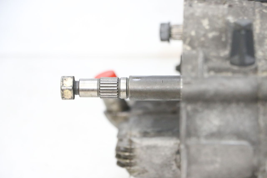 photo de MOTOR PIAGGIO X8 125 (2004 - 2007) - Detailansicht des Bauteils