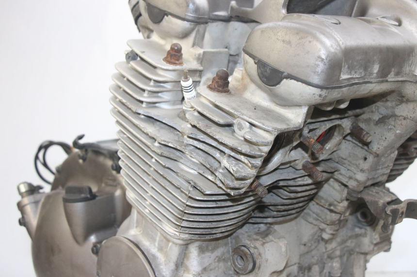 photo de MOTOR YAMAHA XJN DIVERSION 600 (2000 - 2003)