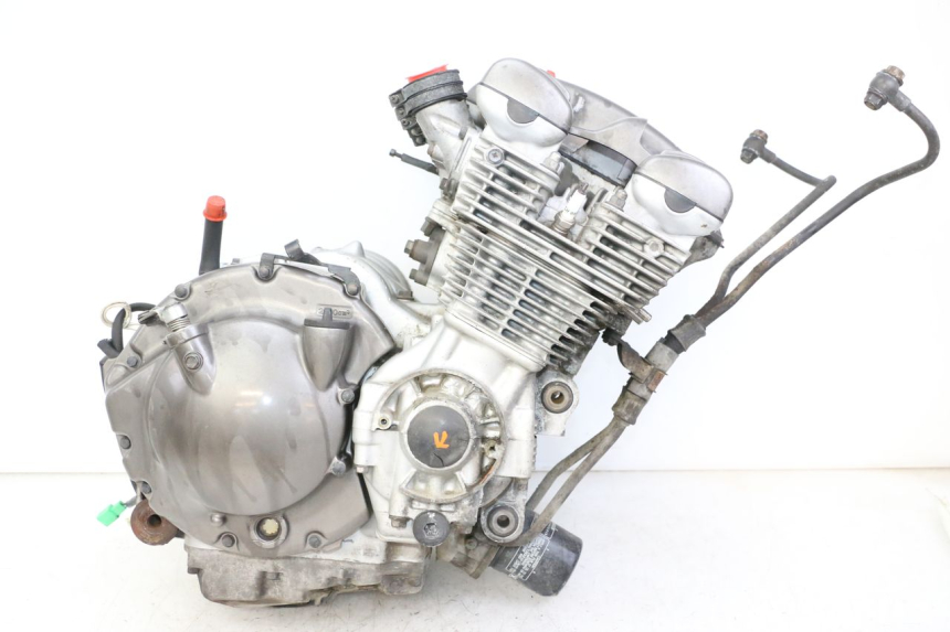 photo de MOTOR YAMAHA XJN DIVERSION 600 (2000 - 2003)