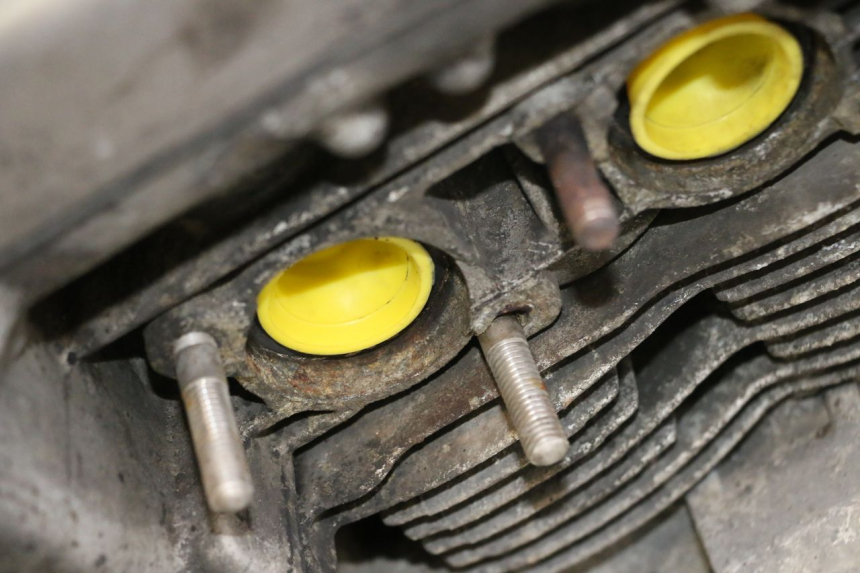 photo de MOTOR YAMAHA XJN DIVERSION 600 (2000 - 2003)