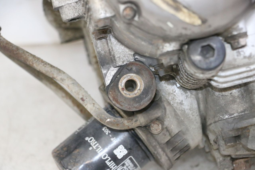 photo de MOTOR YAMAHA XJN DIVERSION 600 (2000 - 2003)