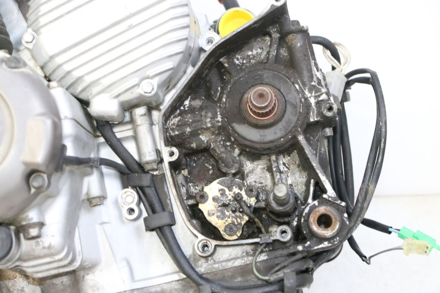 photo de MOTOR YAMAHA XJN DIVERSION 600 (2000 - 2003)