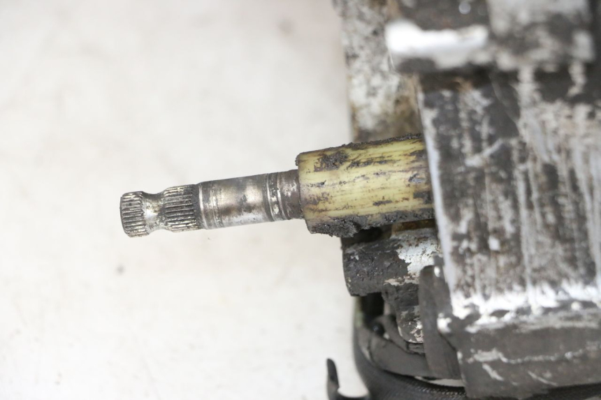 photo de MOTOR YAMAHA XJN DIVERSION 600 (2000 - 2003)