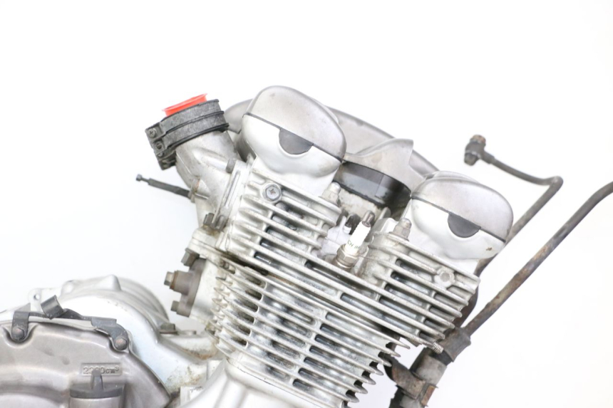 photo de MOTOR YAMAHA XJN DIVERSION 600 (2000 - 2003)