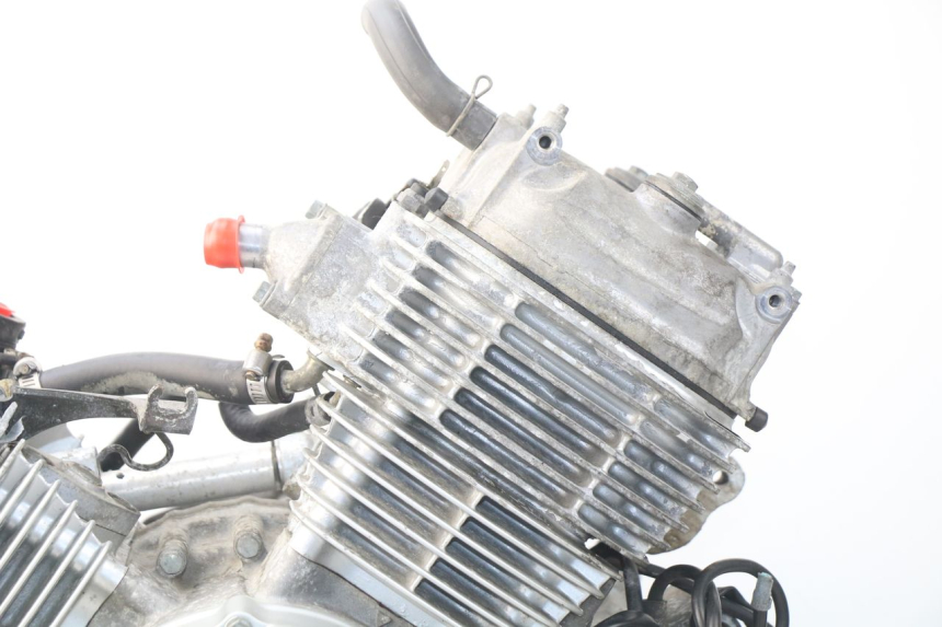 photo de MOTOR HONDA XLV VARADERO 125 (2000 - 2006)