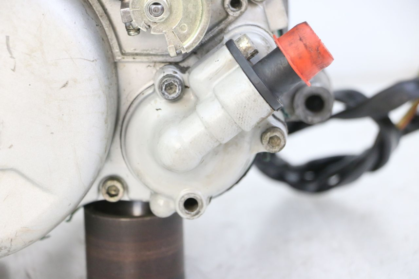 photo de MOTOR YAMAHA TZR 50 (2008 - 2016)