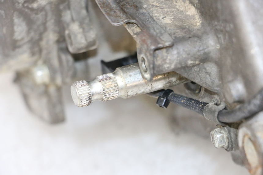 photo de MOTOR YAMAHA YFM R RAPTOR 250 (2008 - 2014) - Gesamtansicht des Produkts