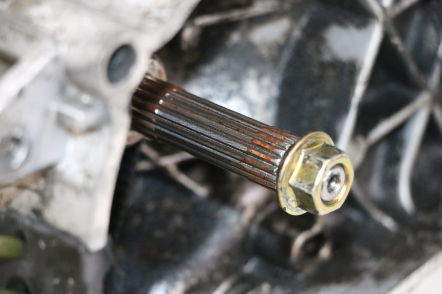 photo de MOTOR PIAGGIO ZIP 2T 50 (2009 - 2019) - Detaillierte Sichtprüfung