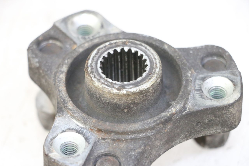 photo de HINTERRADNABE PEUGEOT SATELIS 125 (2006 - 2009)