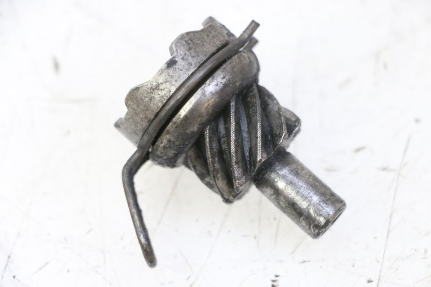 photo de KICKSTARTERRITZEL APRILIA SR R 2T LC 50 (2018 - 2021)