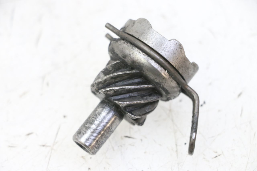 photo de KICKSTARTERRITZEL APRILIA SR R 2T LC 50 (2018 - 2021)