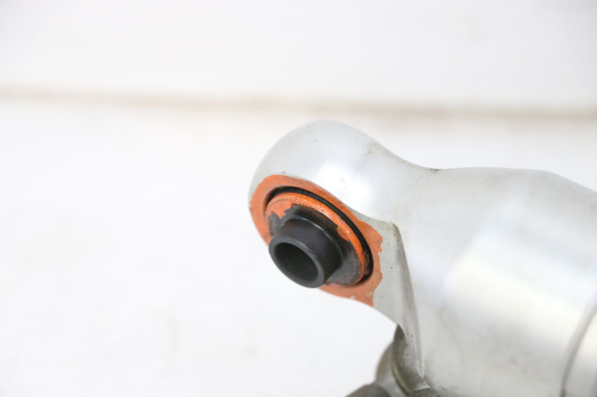 photo de HINTERE DÄMPFERPAAR QUADRO 4 4D 350 (2015 - 2018)