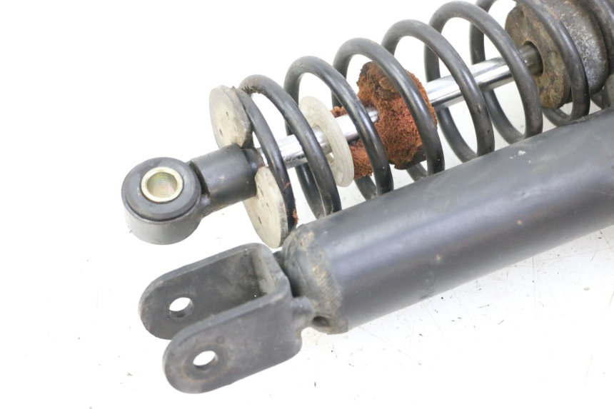 photo de PAAR FEDERBEIN  BMW C1 125 (2000 - 2003)