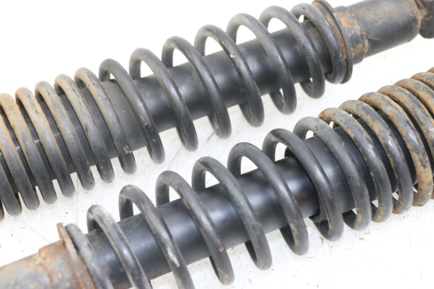photo de HINTERE STOSSDÄMPFERPAAR YAMAHA CYGNUS X 125 (2004 - 2007)