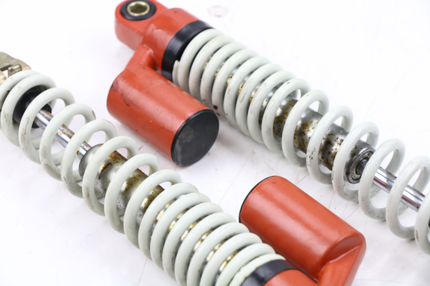 photo de PAAR FEDERBEIN  LINTEX HT50QT-36 VERONA 50 (2012 - 2017)