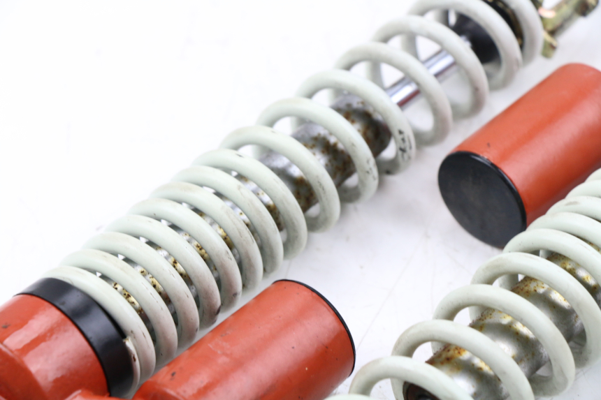 photo de PAAR FEDERBEIN  LINTEX HT50QT-36 VERONA 50 (2012 - 2017)