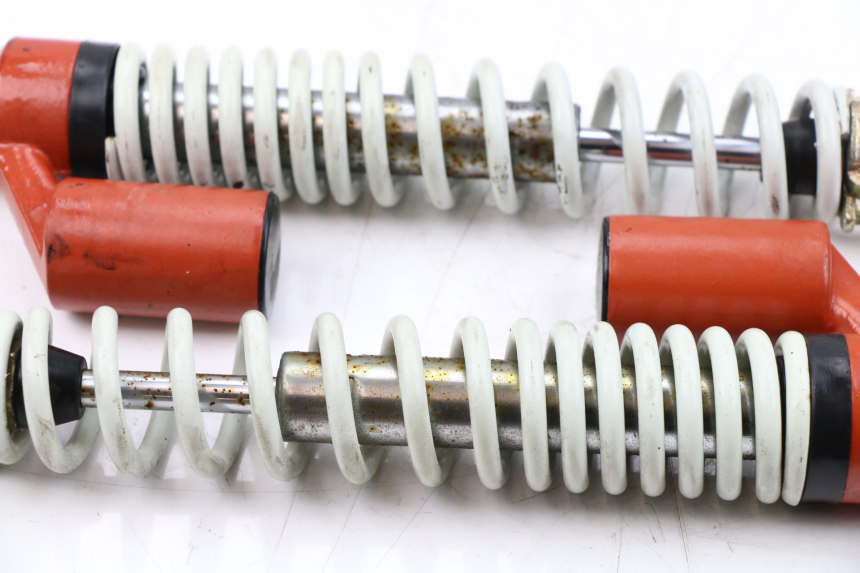 photo de PAAR FEDERBEIN  LINTEX HT50QT-36 VERONA 50 (2012 - 2017)