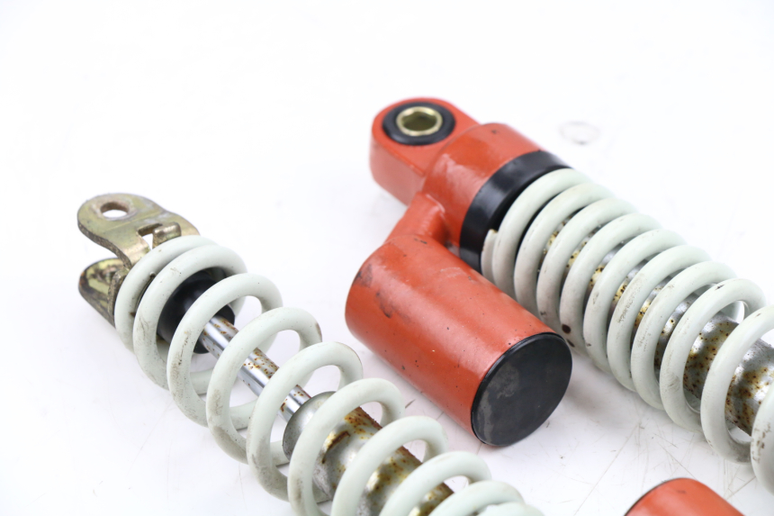 photo de PAAR FEDERBEIN  LINTEX HT50QT-36 VERONA 50 (2012 - 2017)