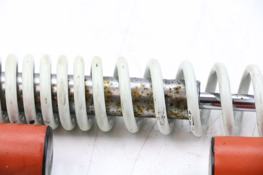 photo de PAAR FEDERBEIN  LINTEX HT50QT-36 VERONA 50 (2012 - 2017)