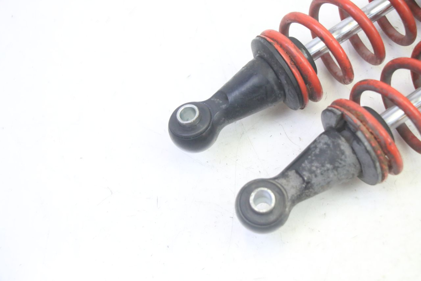 photo de PAAR FEDERBEIN PIAGGIO MP3 500 (2016 - 2018) - Alternative Perspektive