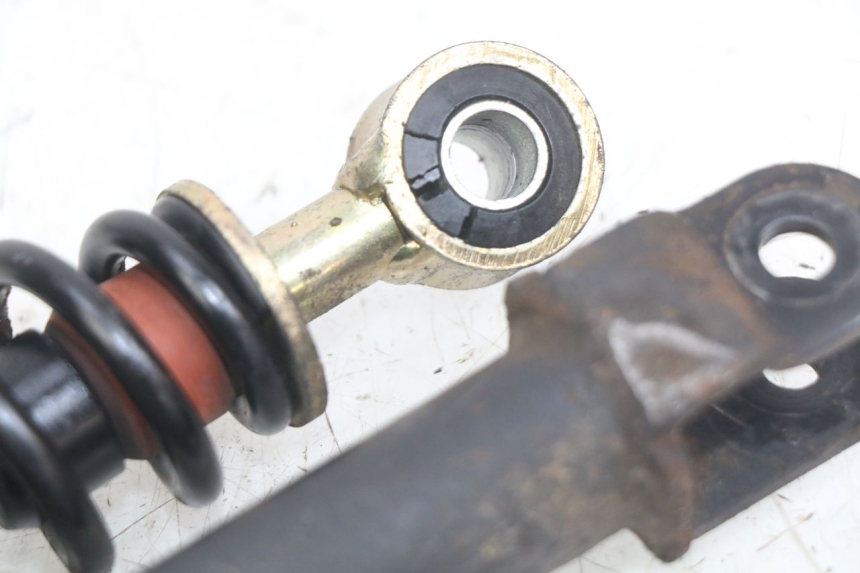 photo de HINTERE STOSSDÄMPFERPAAR PEUGEOT SV 125 (1991 - 1994)