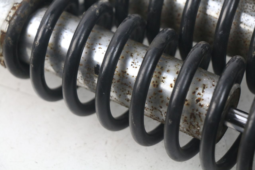 photo de HINTERE STOSSDÄMPFERPAAR DAELIM S3 125 (2010 - 2017)