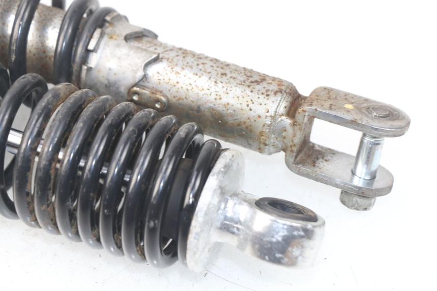 photo de HINTERE STOSSDÄMPFERPAAR DAELIM S3 125 (2010 - 2017)