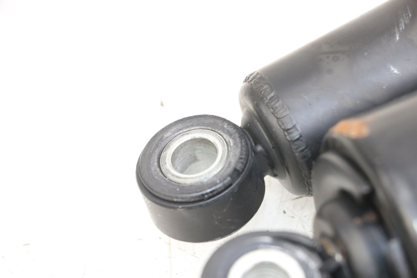 photo de PAAR FEDERBEIN  HARLEY DAVIDSON SPORTSTER XL CUSTOM 1200 (2003 - 2004)