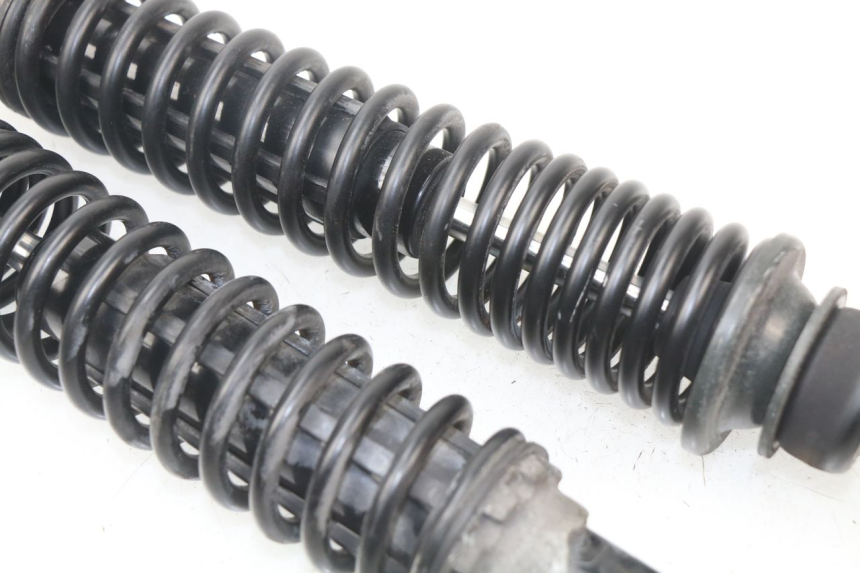 photo de PAAR FEDERBEIN  PIAGGIO VESPA GTS SUPER IE 125 (2009 - 2016) - Gesamtansicht des Produkts