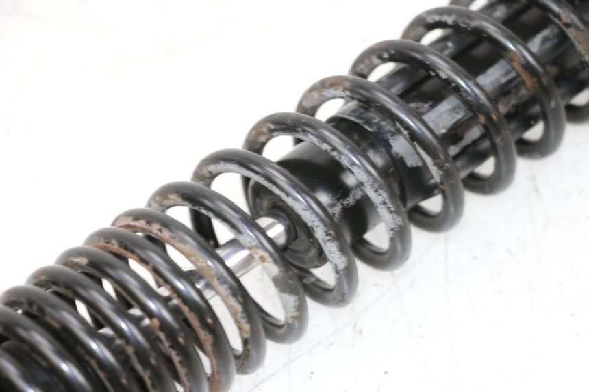 photo de PAAR FEDERBEIN  PIAGGIO VESPA GTS SUPER IE 125 (2009 - 2016) - Weitere Ansicht des Artikels