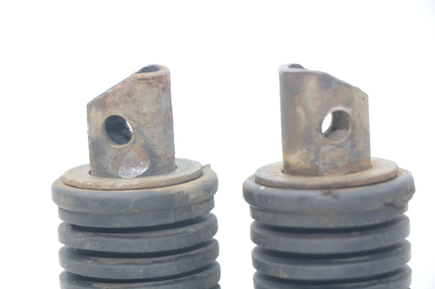 photo de PAAR FUßRASTENHALTER HINTEN SUZUKI XF FREEWIND 650 (1997 - 2003)