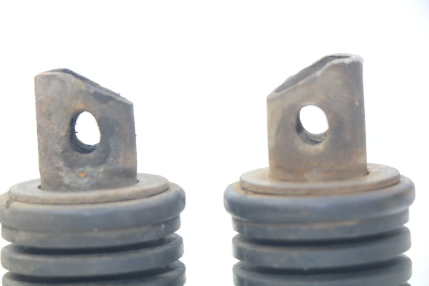 photo de PAAR FUßRASTENHALTER HINTEN SUZUKI XF FREEWIND 650 (1997 - 2003)
