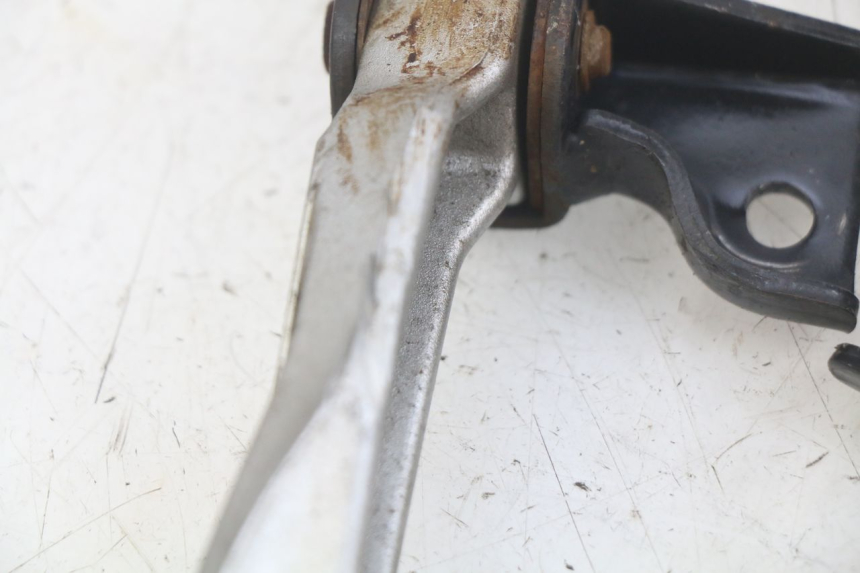 photo de PAAR FUßRASTENHALTER HINTEN PEUGEOT TWEET 4T 50 (2018 - 2020)