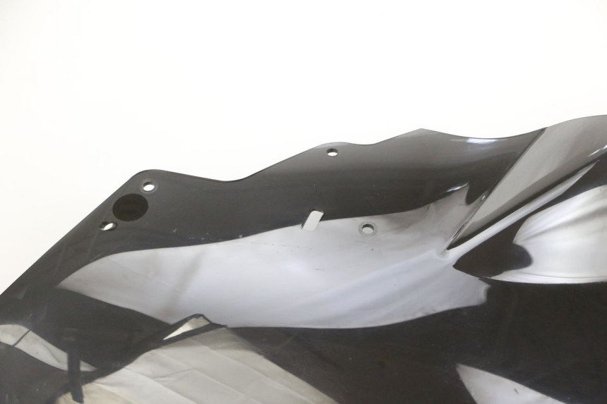 photo de SCHEIBE SUZUKI BURGMAN 650 (2013 - 2020)