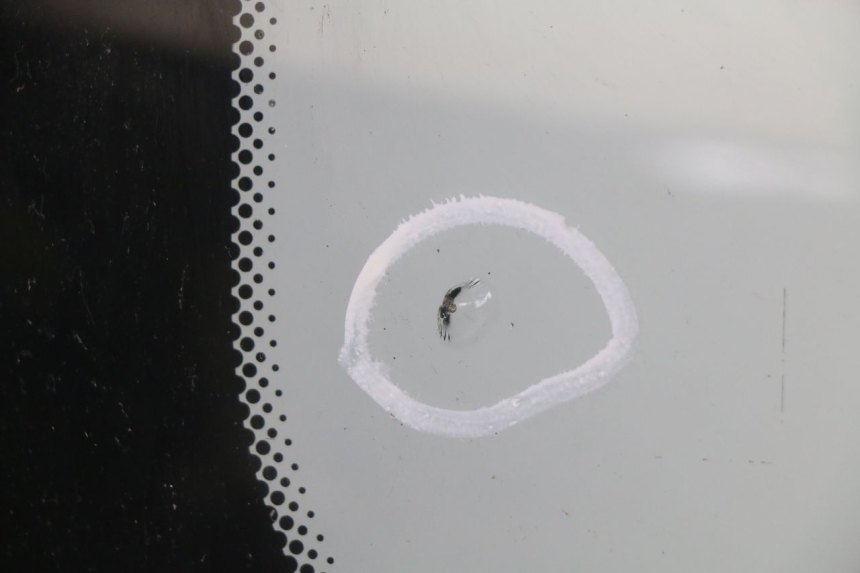 photo de WINDSCHUTZSCHEIBE BMW C1 125 (2000 - 2003)