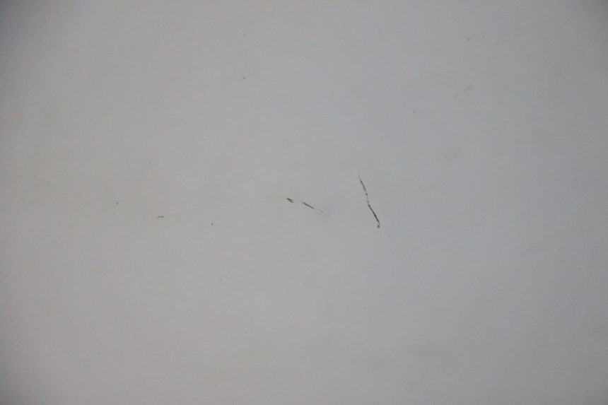 photo de WINDSCHUTZSCHEIBE HONDA FES S-WING SWING ABS 125 (2007 - 2015)