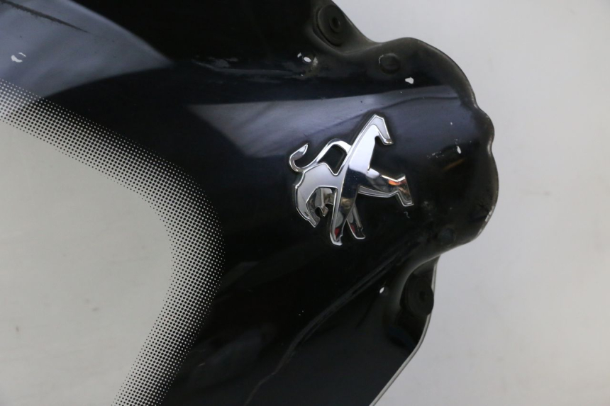 photo de WINDSCHUTZSCHEIBE PEUGEOT SATELIS 125 (2010 - 2012)