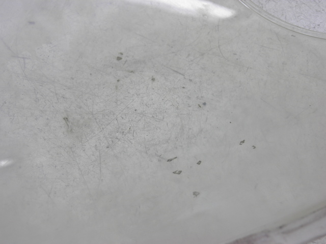 photo de WINDSCHUTZSCHEIBE SUZUKI SV S 650 (1999 - 2002)