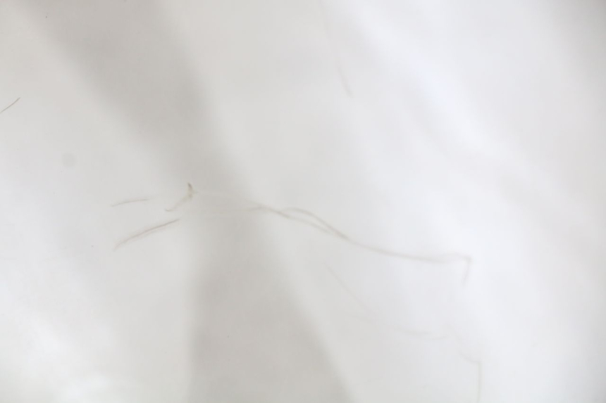 photo de WINDSCHUTZSCHEIBE YAMAHA YP MAJESTY 125 (2007 - 2010)