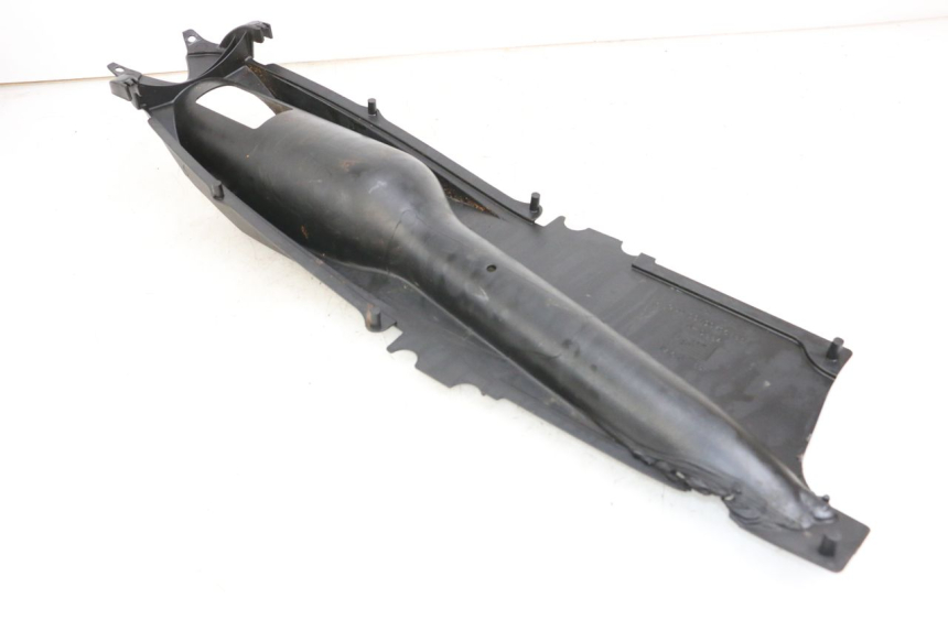 photo de RADHAUS HINTEN APRILIA RS 50 (2006 - 2010)