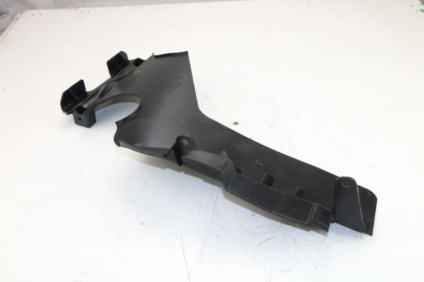 photo de RADHAUS HINTEN KAWASAKI J300 300 (2014 - 2017)
