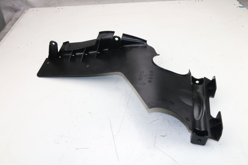 photo de RADHAUS HINTEN KAWASAKI J300 300 (2014 - 2017)