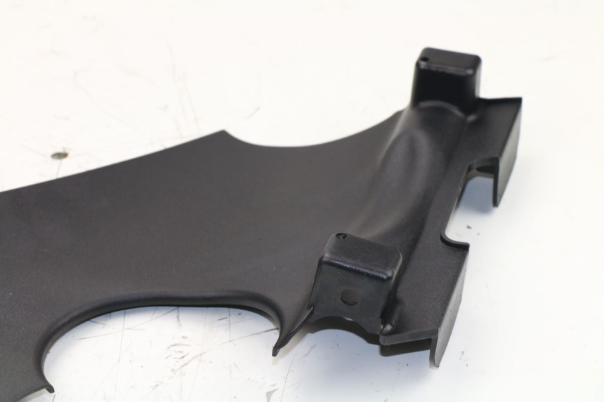 photo de RADHAUS HINTEN KAWASAKI J300 300 (2014 - 2017)