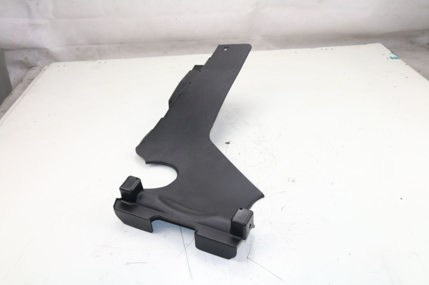 photo de RADHAUS HINTEN KAWASAKI J300 300 (2014 - 2017)