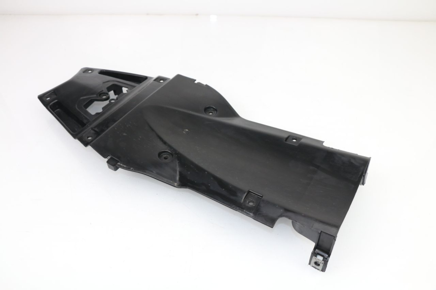photo de RADHAUS HINTEN RIEJU RS3 50 (2010 - 2018)