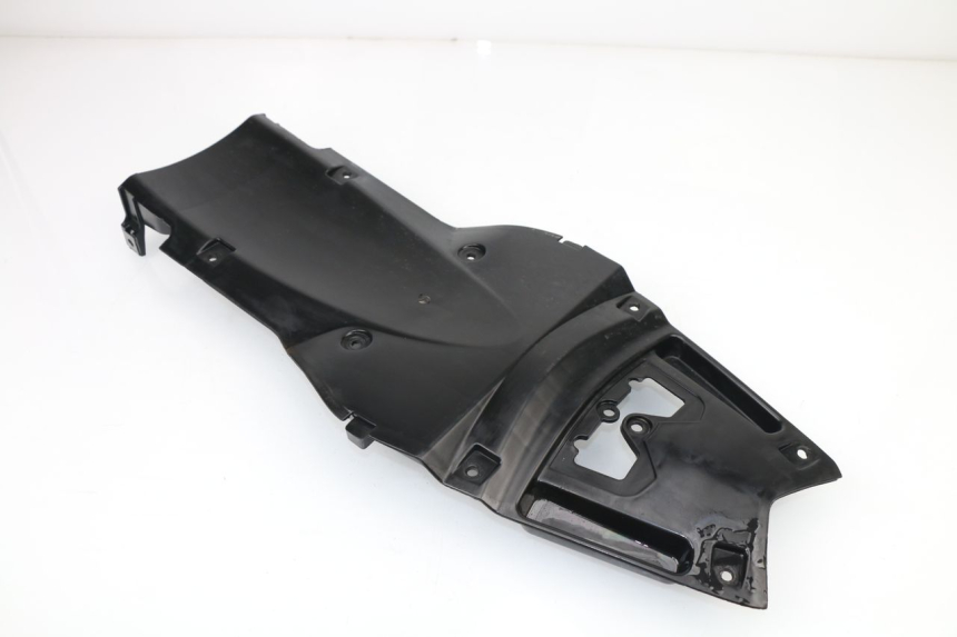 photo de RADHAUS HINTEN RIEJU RS3 50 (2010 - 2018)