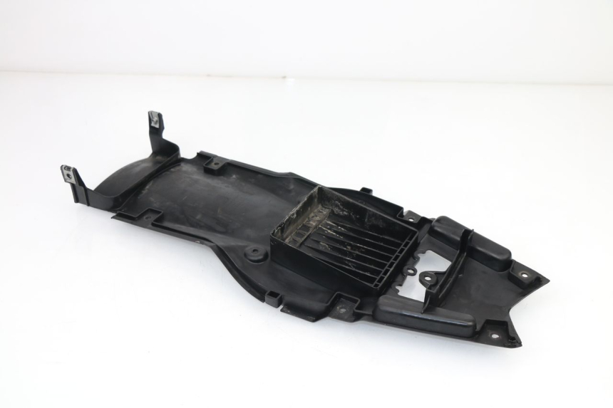 photo de RADHAUS HINTEN RIEJU RS3 50 (2010 - 2018)