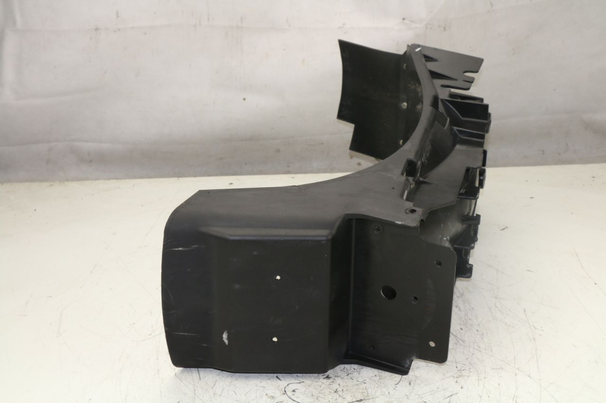 photo de RADHAUS HINTEN TRIUMPH TIGER 955 (2001 - 2004)
