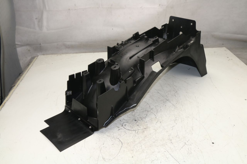 photo de RADHAUS HINTEN TRIUMPH TIGER 955 (2001 - 2004)